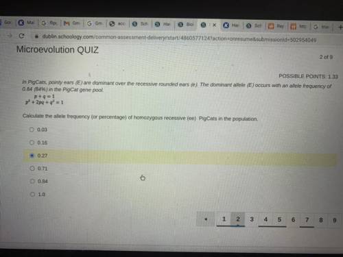 Is this the right answer ?