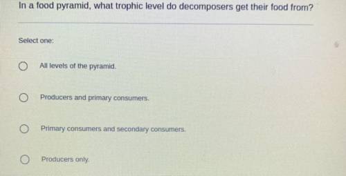 In a food pyramid, what tropic level do decomposers get their food from