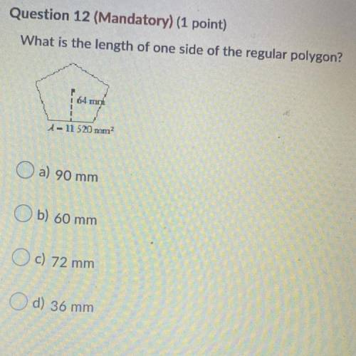I need help for my quiz