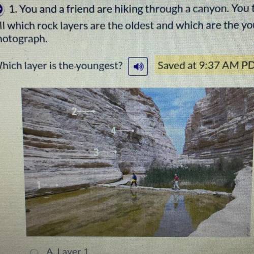1. You and a friend are hiking through a canyon. You tell your friend that the rock layers in the c