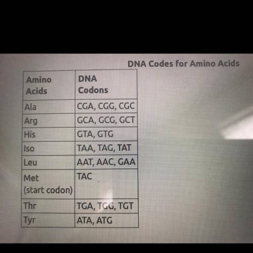 Use the table to answer the question below.

Two cells contain the sequence of DNA shown below.
AT