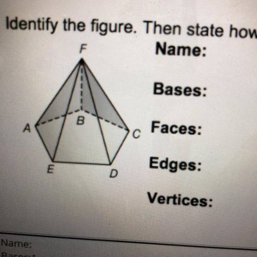 Identify the figure. Then state how many bases, faces, edges, and vertices there are.

Name:
Bases