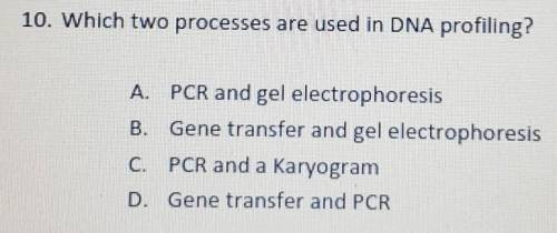 10. which two processes are used in DNA profiling?​