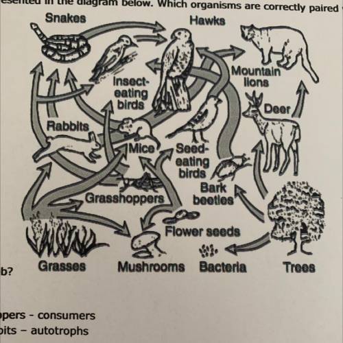 A food web is represented in the diagram below. Which organisms are correctly paired with their

r