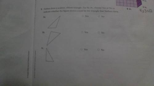 Nathan drew a scalene obtuse triangle. For 9a-9c choose Yes OR No to indicate whether the figure is
