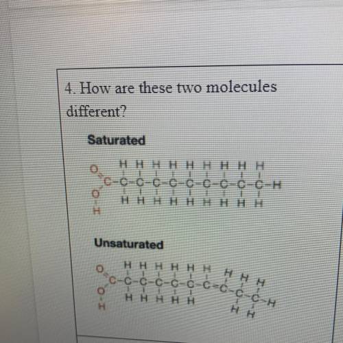 How are these two molecules different?