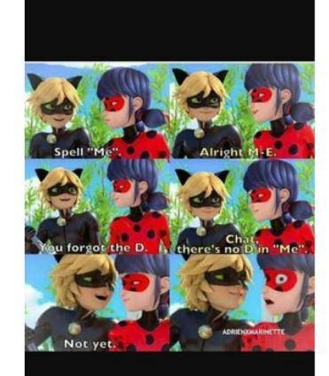 Cat noir and lady bug memes for you also ples r p with me