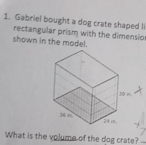 1. Gabriel bought a dog crate shaped like a rectangular prism with the dimensions shown in the mode