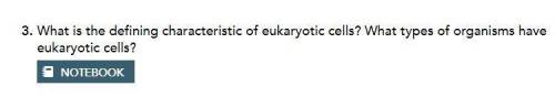 what is the defining characteristic of eukaryotic cells? what types of organisms have eukaryotic ce
