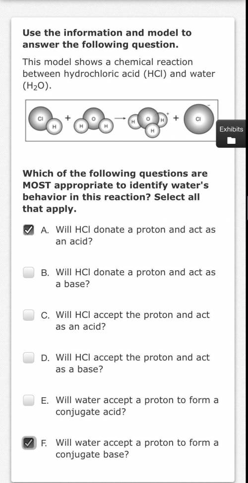 Which of the following questions are MOST appropriate to identify water's behavior in this reaction
