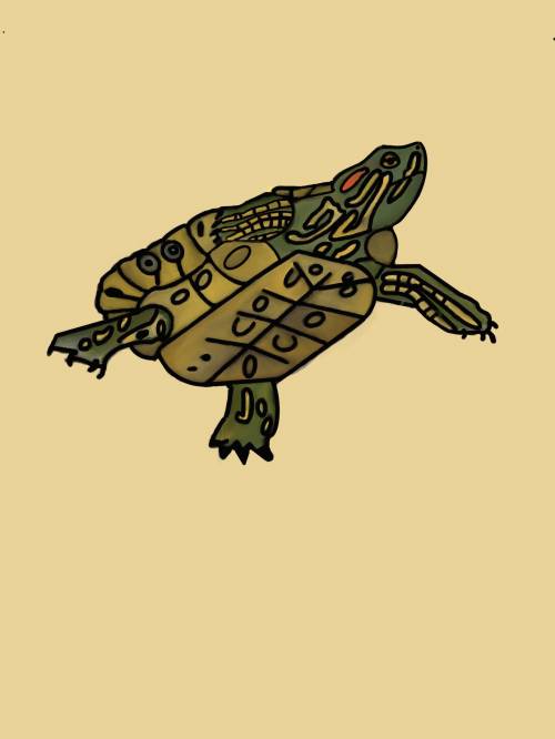Here’s a drawing of my pet turtle he’s a red eared slider and getting up there (inappropriate answe
