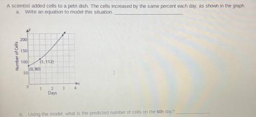 Can anyone tell me part B? What’s the 6th term!? Will mark brainliest!