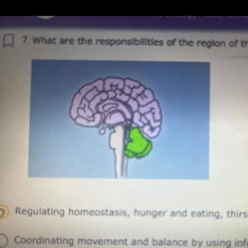 7. What are the responsibilities of the region of the brain highlighted below?

A. Regulating home