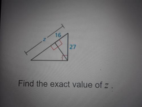 Please help me with this math problem! I'm really confused.