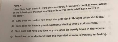 Sara Sees Red is told in third person entirely from Sara's point of view . Which of the following