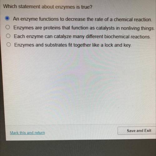 Which statement about enzymes is true?