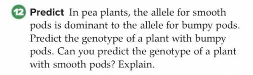 Predict: In pea plants, the allele for smooth pods is dominant to the allele for bumpy pods. Predic