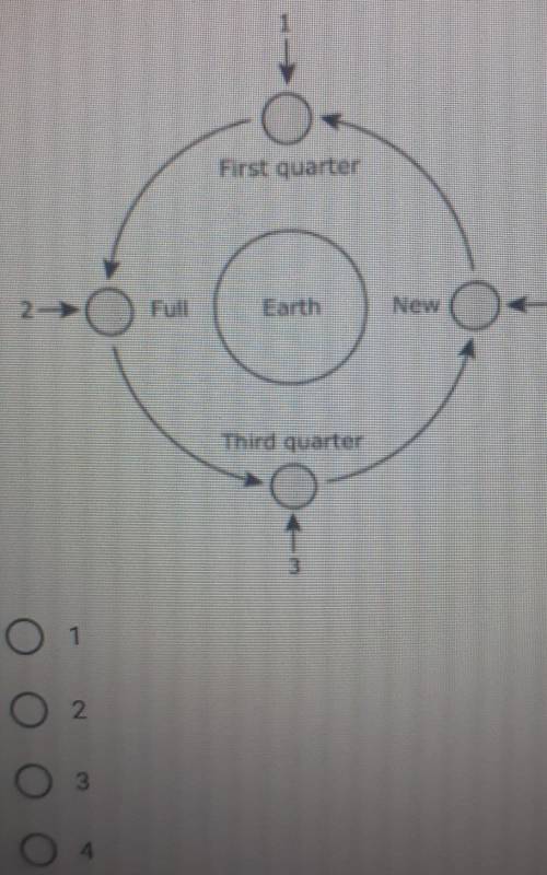 10 point The diagram below shows four phases of the moon as it revolves around Earth. A student bui