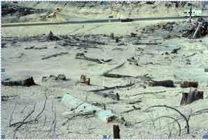 4. This photograph was taken in 2004, 24 years after Mount Saint Helens erupted. Compare and contra