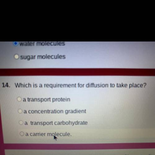 Which is a requirement for diffusion to take place?
