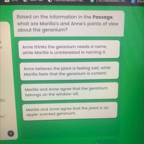 Based on the information in the passage what are Marilla’s and Anne’s point of view about the geran