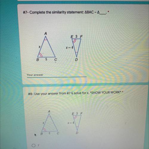 Can someone please please help with these questions?
