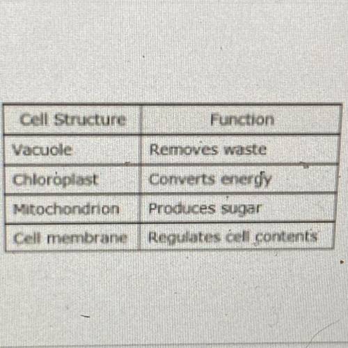 Which table correctly describes the functions of the cell structures

listed 
HELP ME PLEASE