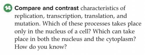 Compare and contrast characteristics of replication, transcription, translation, and mutation. Whic