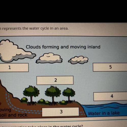 Where does the transpiration take place in the water cycle