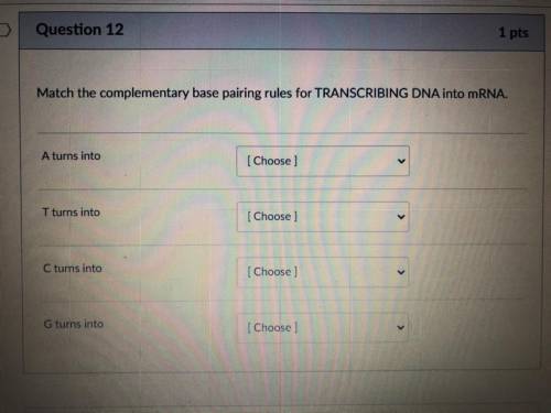 Match the complementary base pairing rules for TRANSCRIBING DNA into mRNA