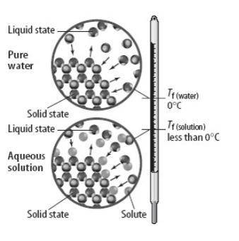 Will give brainliest!!

This illustration indicates what effect of solutes on freezing point?
Grou