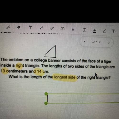 1. The emblem on a college banner consists of the face of a tiger

inside a right triangle. The le