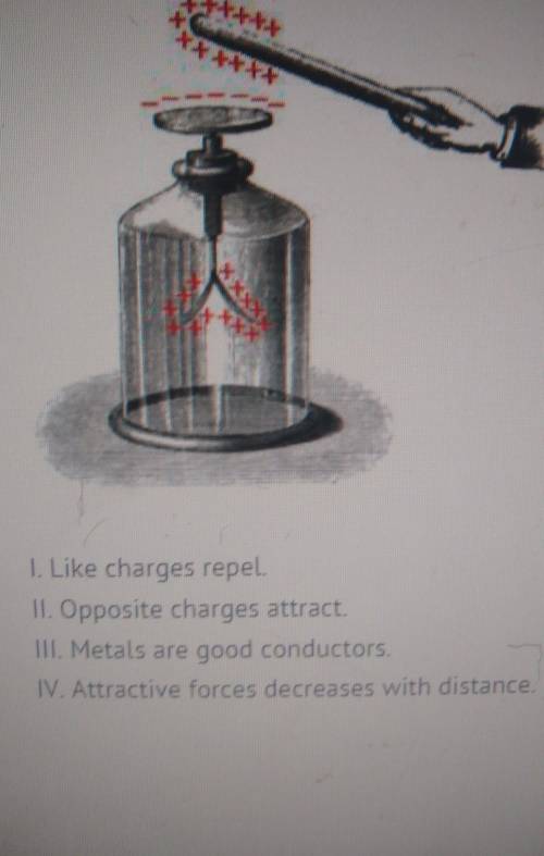 Will Mark brainstest

1) During this experiment, a positively charged rod is brought near but not