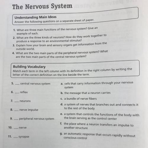Review and Reinforce

The Nervous System
COCORI
Understanding Main Ideas
Answer the following ques