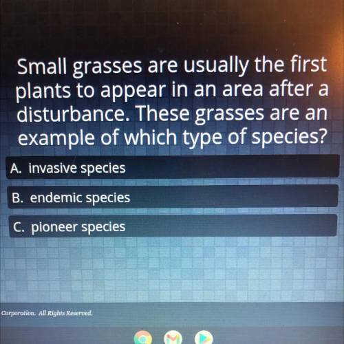 small grasses are usually the first plants to appear in an area after a disturbance. these grasses