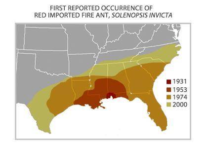 PLEASE ONLY ANSWER IF U KNOW! NO LINKS PLEASE :)

This map shows the spread of the red fire ant af