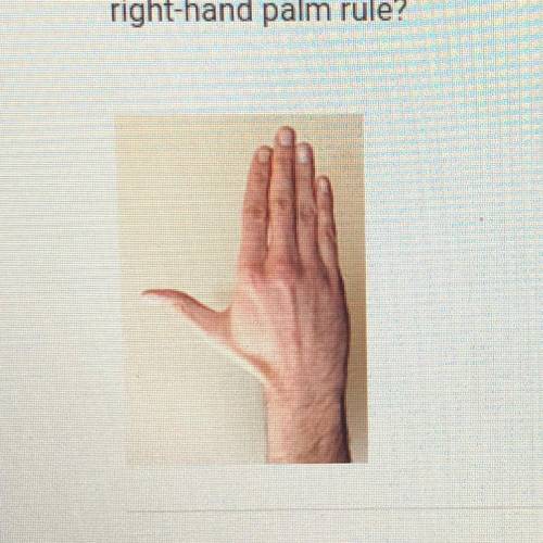 PLS HELP Which description best matches the image below of a hand that is using the

right-hand pa