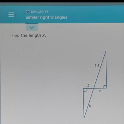 Find the length of x
