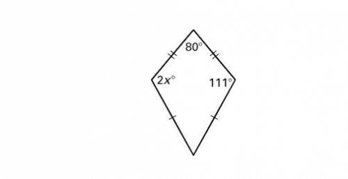 The image below is a kite. Find the value of x.
