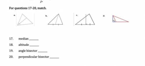 I need help on these 4 questions. Please someone help me. Don’t put a link. Please help me.