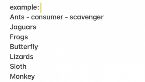 Name the consumers:
scavengers, omnivores, herbivores, carnivores