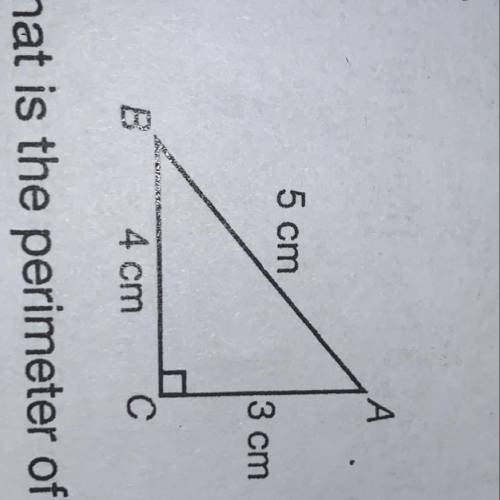 What is the perimeter and the area of the triangle