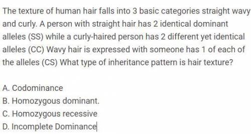 The texture of human hair falls into 3 basic categories straight wavy and curly. A person with stra