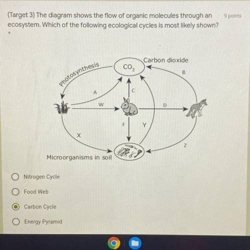 9 points

(Target 3) The diagram shows the flow of organic molecules through an
ecosystem. Which o