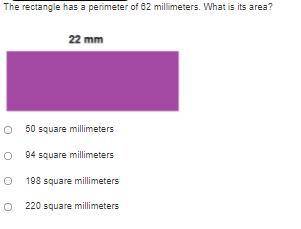 The rectangle has a perimeter of 62 millimeters. What is its area?