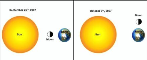 The strength of tides is related to the position of the Sun, Earth, and the Moon. The diagrams show