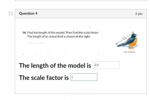 Solve the length and the scale factor.