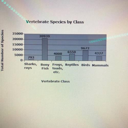 The above graph shows vertebrate diversity in terms of total

number of species. Which of the vert