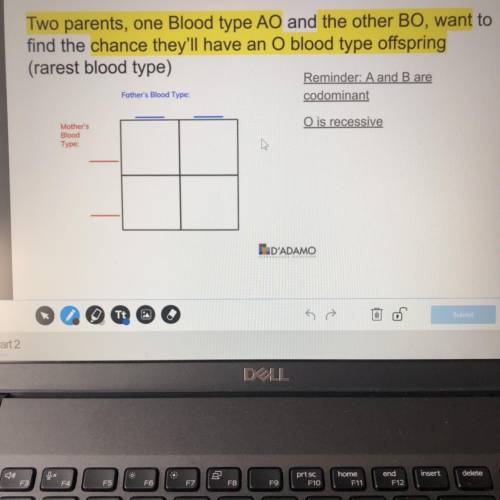Two parents, one Blood type AO and the other BO, want to

 find the chance they'll have an O blood