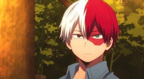 Shoto todoroki stans i need more pfps pls these are the ones i have so far and I don't need half na
